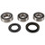 Pivot Works 95-99 Cagiva RIVER 500 PW Rear Wheel Bearing Kit - PWRWS-K05-000 Photo - Primary
