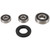 Pivot Works 91-97 Suzuki GSX250 (Euro) PW Rear Wheel Bearing Kit - PWRWS-S02-000 Photo - Primary