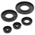 Vertex Gaskets 1985 Ski-Doo Formula MX Oil Seal Kit - 55105 Photo - Primary