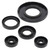 Vertex Gaskets 1995 Ski-Doo Formula MX Z 454 Oil Seal Kit - 55190 Photo - Primary