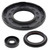 Vertex Gaskets 05-10 Ski-Doo Expedition 600 HO/TUV/SDI Oil Seal Kit - 55217 Photo - Primary