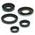 Vertex Gaskets 99-04 Honda TRX400EX Oil Seal Kit - 822139 Photo - Primary