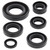 Vertex Gaskets 03-06 Kawasaki KDX50 Oil Seal Kit - 822224 Photo - Primary