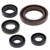 Vertex Gaskets 06-09 Suzuki LT-R450 Oil Seal Kit - 822327 Photo - Primary