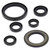 Vertex Gaskets 06-23 Yamaha YFM700R Raptor Oil Seal Kit - 822338 Photo - Primary