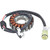 Arrowhead 01-04 Yamaha YFM250 Beartracker Stator Coil - 340-58006 Photo - Primary