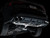 AWE 22-24 Audi 8Y S3 Track Edition Exhaust  - Chrome Silver Tips - 3020-42897 Photo - Mounted