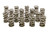 1.514 Dual Valve Springs (16)
