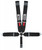Kam Lock Lap Belt 5-Way Black Floor Mount