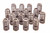 Boss 302R Valve Spring Kit 2011-up 5.0L Engine