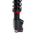 QA1 90-93 Ford Mustang Proma Star Coilover Strut Kit Double Adjust 150lb/in. - HD02-14150 Photo - Close Up