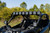 Diode Dynamics 17-24 Can-Am Maverick X3 SS5 Sport CrossLink Roof Lightbar Kit - White Combo - DD7890 User 4