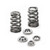 Supertech Ford Coyote 5.0L Beehive Valve Spring Kit - SPRK-FCO-BE User 1