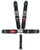 5-Way 3in L&L Lap Belt Pull Down  Individual Ha
