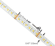 16ft 24VDC Pro Medium-Output Water-Resistant 24VCS3596 IP65 Color Changing and White Flexible LED Strip