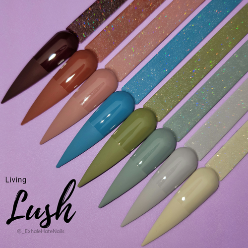 Living Lush Basics Collection of Press on Nails