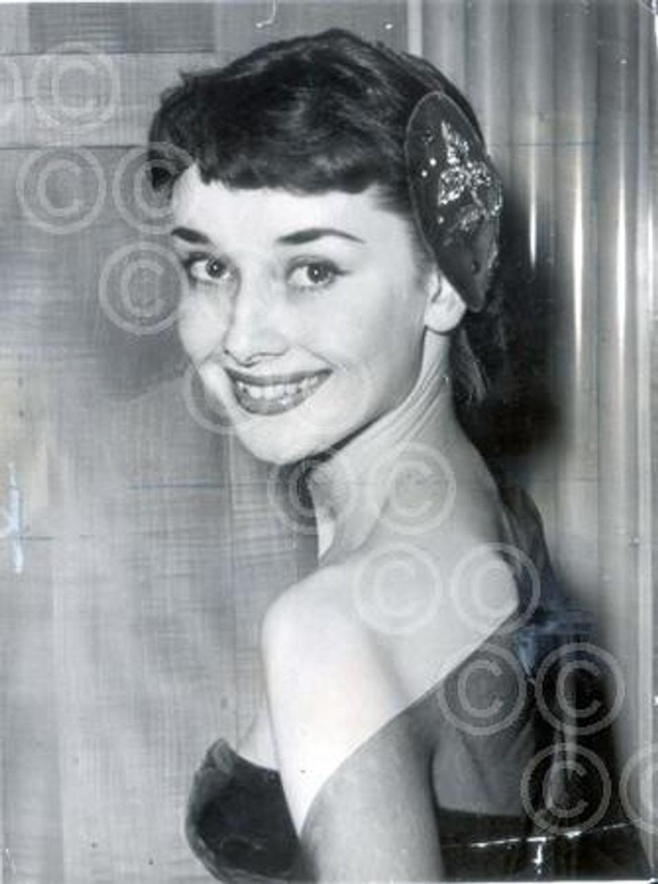 Audrey-Hepburn-Sabrina-Gown-Auction-Costumes-Tom-Lorenzo-Site (5) - Tom +  Lorenzo