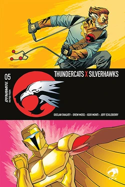 ThunderCats X SilverHawks: Thunderhawks
