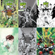 BEN 10 #1 1-IN-50 SIGNED EDITION ULTIMATE BUNDLE INCLUDING FIVE QUALIFYING INCENTIVE VARIANTS