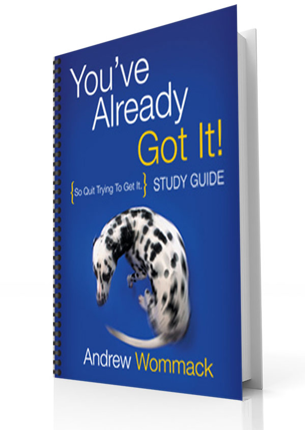 Study Guide - You've Already Got It! - Andrew Wommack Ministries Australia