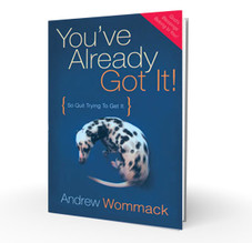 Book - You've Already Got It