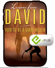 E-Book - Lessons From David (ePub)