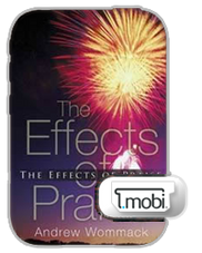 E-Book - Effects of Praise (Mobi) E-Book - Effects of Praise (Mobi)