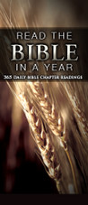 Bible Reading Plan - Read the Bible in a Year (Brochure) Bible Reading Plan - Read the Bible in a Year (Brochure)