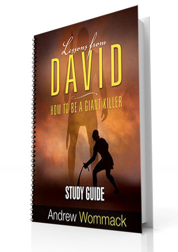 Study Guide - Lessons From David