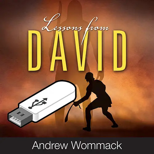 USB Album - Lessons From David