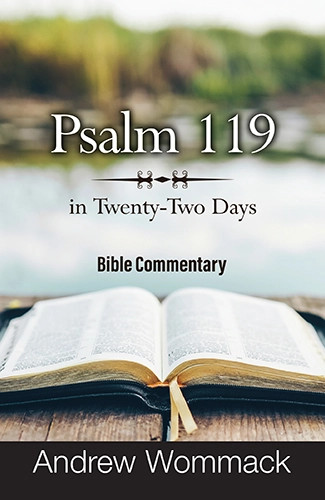 Book - Psalm 119 in Twenty-Two Days - Andrew Wommack Ministries Australia