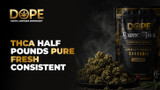 THCA Half Pounds Pure Fresh Consistent