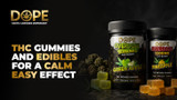 THC Gummies and Edibles for a Calm Easy Effect