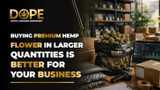 Buying Premium Hemp Flower in Larger Quantities Is Better for Your Business