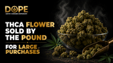 THCA Flower Sold by the Pound for Large Purchases