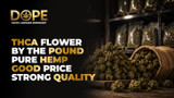 THCA Flower by the Pound Pure Hemp Good Price Strong Quality