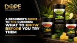 A Beginner's Guide to THC Gummies: What to Know Before You Try Them