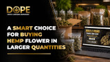 A Smart Choice for Buying Hemp Flower in Larger Quantities