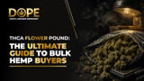 THCA Flower Pound: The Ultimate Guide to Bulk Hemp Buyers