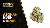 Afghan Kush Strain Review: Earthy Flavor & Relaxation