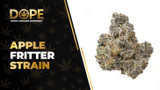 Apple Fritter Strain Review: Flavor, Effects & THC