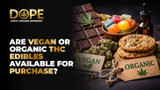 Are vegan or organic THC edibles available for purchase?