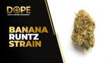 Banana Runtz Strain Review | Sweet Flavor & Effects