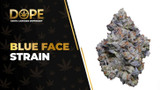 Blue Face Strain Review: Berry Flavour & Potent Effects
