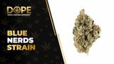 Blue Nerds Strain Review: Sweet Flavour & Hybrid Effects