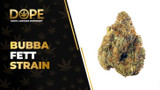 Bubba Fett Strain Review: Effects, Flavour & THC Guide
