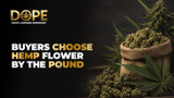 Buyers Choose Hemp Flower by the Pound