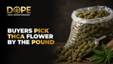 Buyers Pick THCA Flower by the Pound