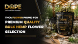 THCA Flower Pounds for Premium Quality Bulk Hemp Flower Selection