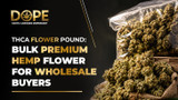 THCA Flower Pounds: Bulk Premium Hemp Flower for Wholesale Buyers